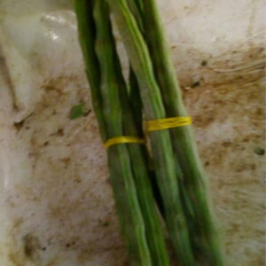 Drumstick(MLONGE)/Bunch TZS 1,800