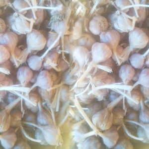 Garlic Local/Kg TZS 8,000