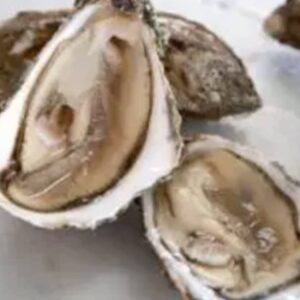 Fresh Oyster/Kg TZS 13,000