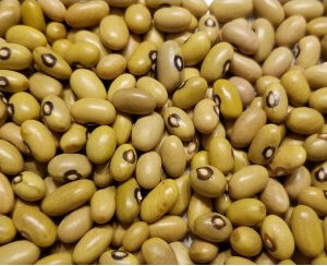 Beans Yellow/kg TZS 4,500
