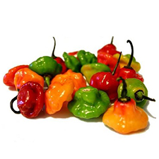 CHILLL MBUZI/kg TZS 6,000