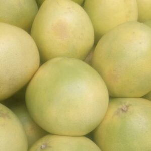 Pommelo/PC TZS 2,500